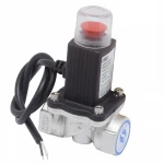 DN15/DN20 Automatic manipulator shut off valve for gas alarm shutoff gas pipeline 1/4'' clean shot shut-off valve