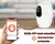 Import Dogs Food Remote Control PI Wifi smart automatic pet feeder With Camera from China