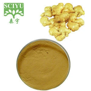 Dried Vegetable Powder Ginger Powder ginger extract