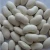 Import dried white kidney beans level no 1 from Egypt