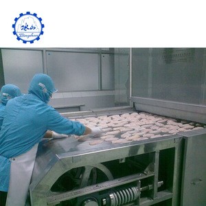 Dumplings quick iqf tunnel freezer for meatball freeze cold storage design room fast freezing quick cooler