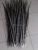 Import Dyed Ladies Amherst Pheasant feathers from China