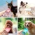 Import Eco-Friendly Dog Portable Travel Outdoor Drinking Pet Water Bottle from China