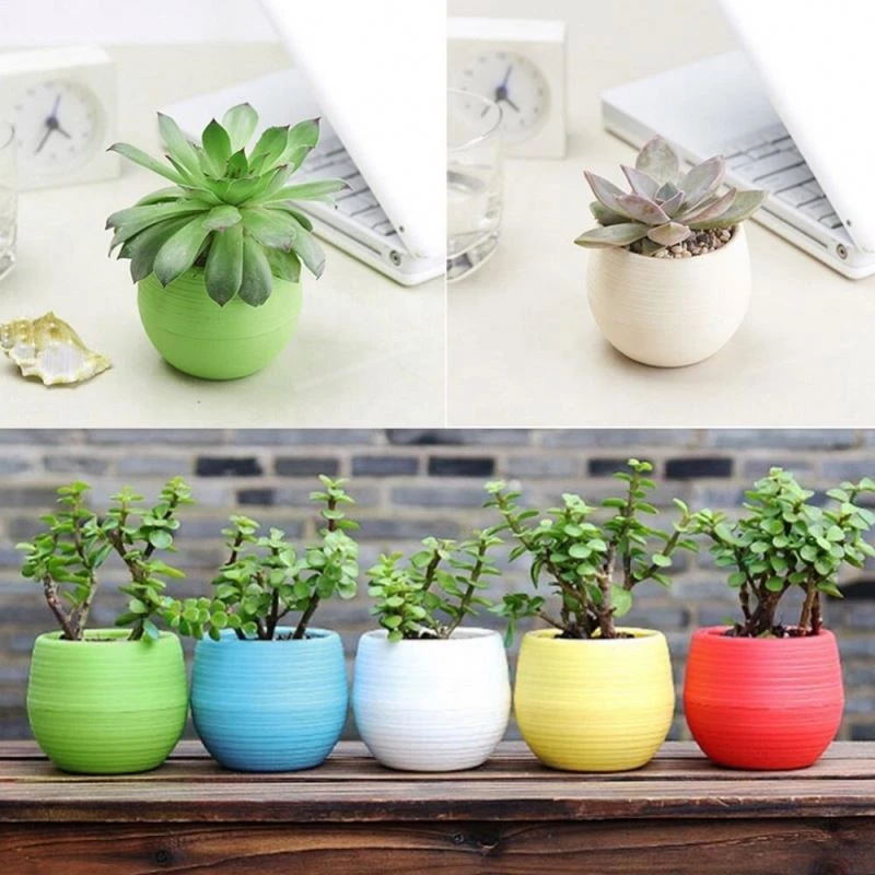 Eco-friendly Flowerpot Gardening Round Mini Plastic Flower Pots