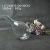 Import Eco-friendly  lead free l wine decanter from China