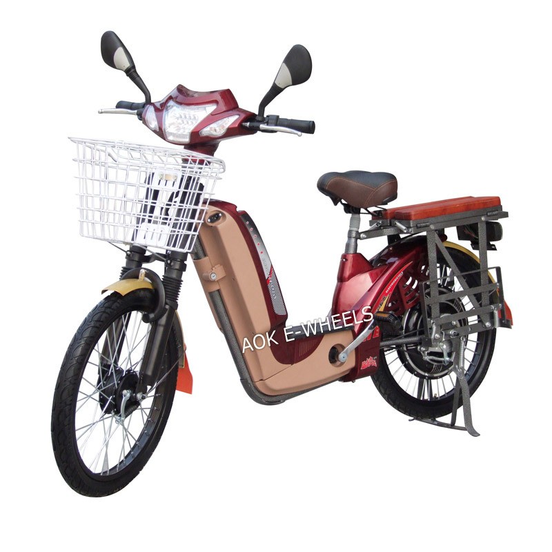 Electric Bike (ES-005)