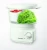 Import Electric mini food steamer from China