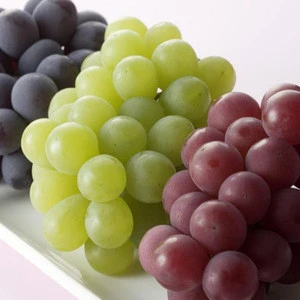 Europe Sweet Organic Fresh Red Black Globe Grapes, Peeled Grapes/Hongti Grapes/ Green Grape fruits
