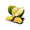 Exotic Frozen Musang King Durian Fruitlet / Durian Pulp Extracted from Superior Grade Durian from Malaysia