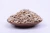 Import Export High Quality export sunflower seeds Kernels for snack bakery candy garde from China