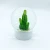 Import Factory Price sales xmas home decorations 100MM resin craft cactus christmas glass snow globes from China