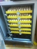 Factory supply 500pcs eggs digital automatic chicken egg incubator