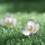 Import Fashion Silver Clover Flower Natural pearl jewelry from China