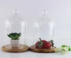 Feast interior decoration all sizes clear flower glass dome for valentine&#039;s day gift