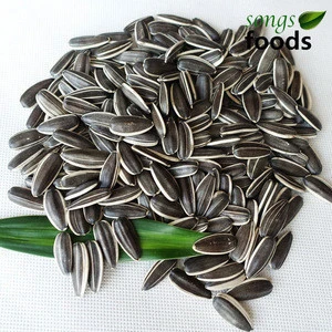 Field Corn Seed For Sale with High Quality