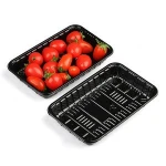 Fish/Seafood/Meat/Fruit With Absorbent Pad Plastic Frozen Food Packaging Tray