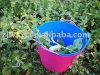 flexible plastic buckets,garden tools,shopping buckets