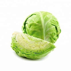 Fresh Cabbage Wholesale Price / Quality Cabbage / Fresh Cabbage