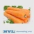 Import Fresh carrot with high quality and Best Price Crop 2021 from Vietnam