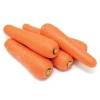 fresh carrots from Poland