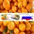 Import Fresh citrus fruits /Pongkam/ Lokam/Chinese oranges/Mandarin oranges/Kinnow from China