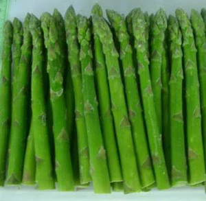 Fresh Frozen Asparagus Best Quality