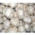 Import Fresh Garlic white garlic indian natural garlic from India