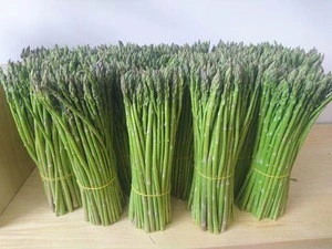 Fresh  green asparagus on sell..