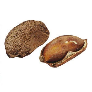 Fresh High Quality Cheap Brazil Nuts From Top Suppliers In Peru