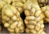 Fresh Holland Potatoes