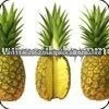 Fresh Organic Pineapple
