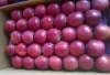 Fresh Red Delicious apple fruit Huaniu apple Hot sale