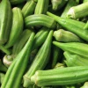 fresh vegetable okra supplier