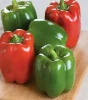 Fresh Vegetable Red and Green Bell Pepper Available Cheap Prices