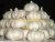 Import Fresh White Garlic in Cold Storage 5p 30LBS/Carton ajo garlic To USA Market from China