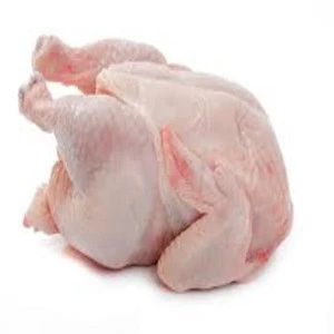 Frozen fresh Halal chicken meat boneless skinless