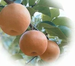 Fruit Pear Flavor Liquid / Powder for Soft Drink, Drink, Biscuit, Ice Cream, Candy, Jam, etc.