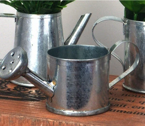Galvanized Watering cans for small plant Decorative Silvery watering cans