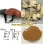 Import Ganoderma Lucidum Spore Capsule hot sale nutritional supplement from China