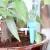 Garden DIY Automatic Drip Water Spikes Taper Watering Plants Houseplant Spike Dripper