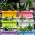Import Garden Square Plant Grow Container Flower Pot Vegetable Herbs Seedlings Nursery Pots with Saucers from China