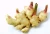Import ginger type/air dry ginger/fresh ginger from China