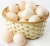 Import goose egg cleaning machine/chicken egg washer for sale/duck egg washing machine from China