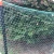 Import Green plastic bird netting for sale from China