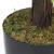 Import Greenery faux plastic indoor artificial bonsai ball plant tree from China