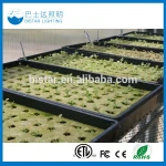 grow media Hydroponic rock wool
