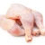 Import HALAL FROZEN WHOLE CHICKEN FOR SALE from Brazil