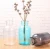 Haonai wide mouth reagent bottle creative decoration glass vase