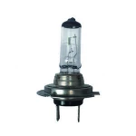 Hard/Quartz h11 halogen bulb h7 halogen bulb