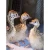 Import Healthy Fertilized Eggs,Red and Black neck ostrich chicks from Republic of Türkiye
